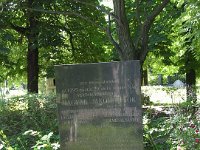 11-1 Sziget - Magyar Jakobinusok